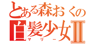 とある森おくの白髪少女Ⅱ（マリー）