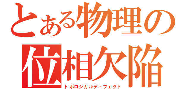 とある物理の位相欠陥（トポロジカルディフェクト）