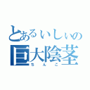 とあるぃしぃの巨大陰茎（ちんこ）