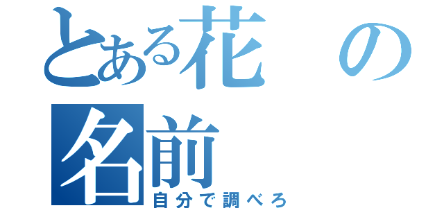 とある花の名前（自分で調べろ）