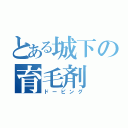 とある城下の育毛剤（ドーピング）