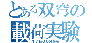 とある双穹の載荷実験（１７時００分から）