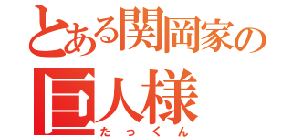 とある関岡家の巨人様（たっくん）