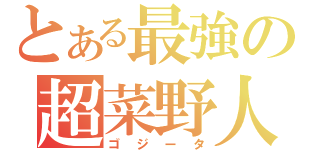 とある最強の超菜野人（ゴジータ）