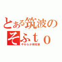 とある筑波のそふｔｏらぼ（やわらか研究室）