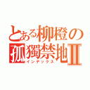 とある柳橙の孤獨禁地Ⅱ（インデックス）