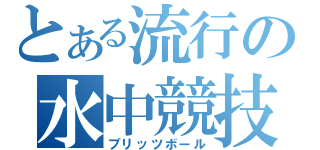 とある流行の水中競技（ブリッツボール）