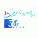 とあるバスケ部の５番（めい先輩）