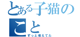 とある子猫のこと（ずっと考えてた）