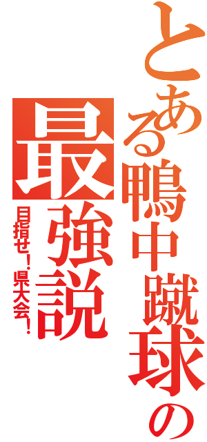 とある鴨中蹴球の最強説Ⅱ（目指せ！県大会！）