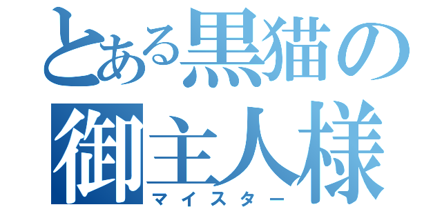 とある黒猫の御主人様（マイスター）