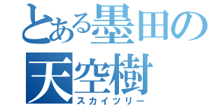 とある墨田の天空樹（スカイツリー）