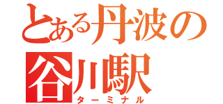 とある丹波の谷川駅（ターミナル）