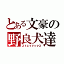 とある文豪の野良犬達（ストレイドックス）