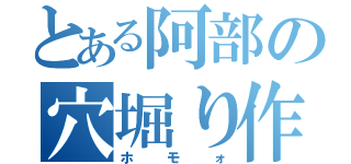 とある阿部の穴堀り作業（ホモォ）