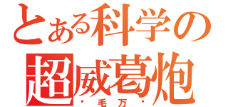 とある科学の超威葛炮（烂毛万岁）