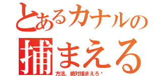 とあるカナルの捕まえる（方法、絶対捕まえろ‼）