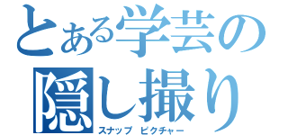 とある学芸の隠し撮り（スナップ　ピクチャー）