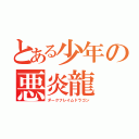 とある少年の悪炎龍（ダークフレイムドラゴン）