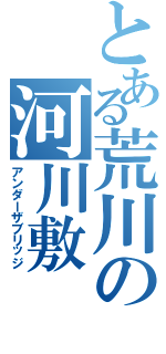 とある荒川の河川敷（アンダーザブリッジ）