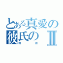 とある真愛の彼氏のⅡ（物語）