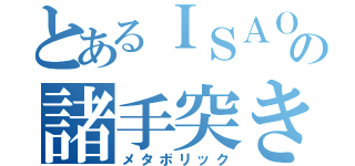 とあるＩＳＡＯの諸手突き（メタボリック）