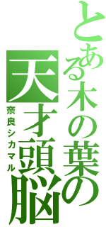 とある木の葉の天才頭脳（奈良シカマル）