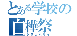 とある学校の白樺祭（シラカハサイ）