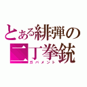 とある緋弾の二丁拳銃（ガバメント）