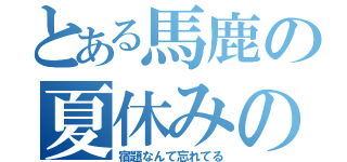 とある馬鹿の夏休みの（宿題なんて忘れてる）