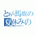 とある馬鹿の夏休みの（宿題なんて忘れてる）