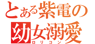 とある紫電の幼女溺愛（ロリコン）