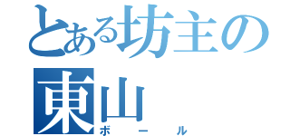 とある坊主の東山（ボール）