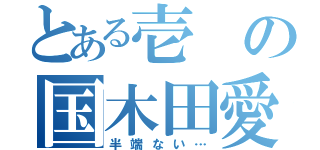 とある壱の国木田愛（半端ない…）