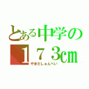 とある中学の１７３㎝（やまだしゅんぺい）