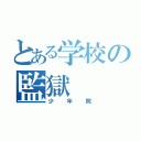 とある学校の監獄（少年院）