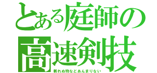 とある庭師の高速剣技（斬れぬ物などあんまりない）