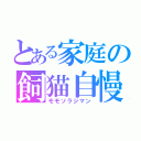 とある家庭の飼猫自慢（モモソラジマン）