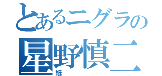 とあるニグラの星野慎二（紙）