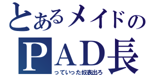 とあるメイドのＰＡＤ長（っていった奴表出ろ）