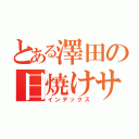 とある澤田の日焼けサロン（インデックス）