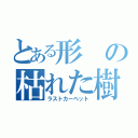 とある形の枯れた樹海（ラストカーペット）