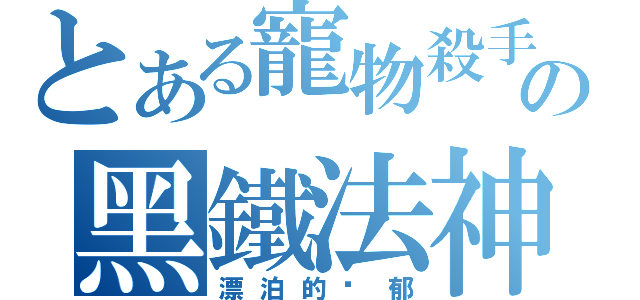 とある寵物殺手の黑鐵法神（漂泊的忧郁）