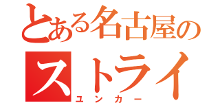 とある名古屋のストライカー（ユンカー）