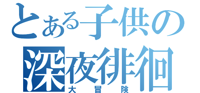 とある子供の深夜徘徊（大冒険）