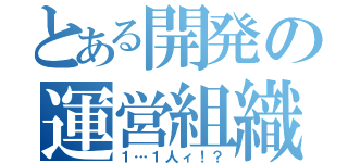 とある開発の運営組織（１…１人ィ！？）