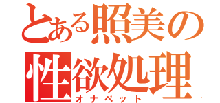 とある照美の性欲処理機（オナペット）