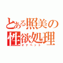 とある照美の性欲処理機（オナペット）