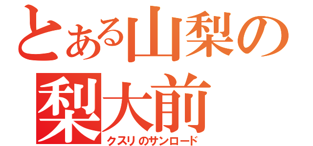 とある山梨の梨大前（クスリのサンロード）