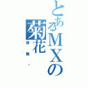 とあるＭＸの菊花Ⅱ（很傲娇）